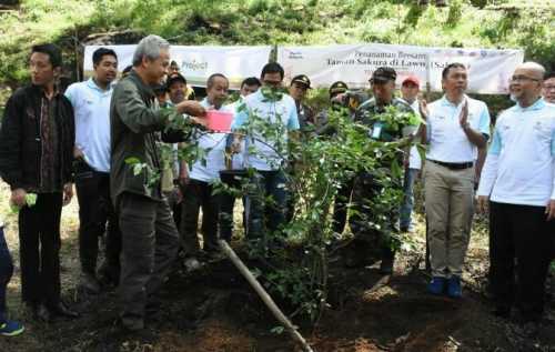 Wow Karanganyar Miliki Taman  Wisata Bunga  Seperti di 