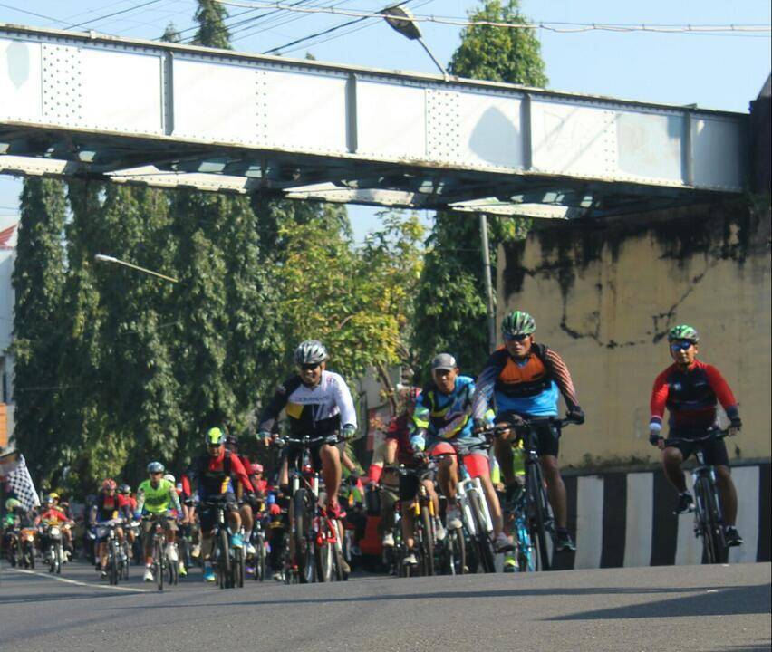 Danrem gowes