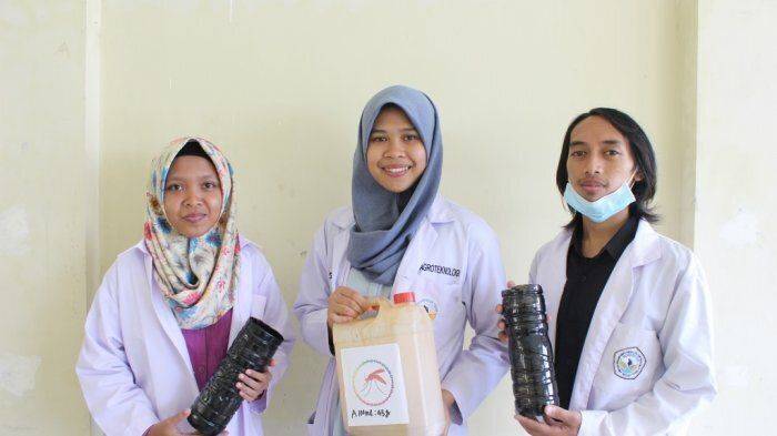 inovatif-mahasiswa-untidar-magelang-buat-obat-nyamuk-alami-dari-limbah-tetes-tebu_20180716_230006