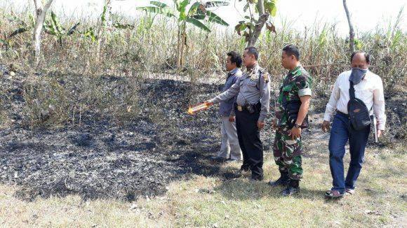 photo_2018-07-17_14-33-39-580x326