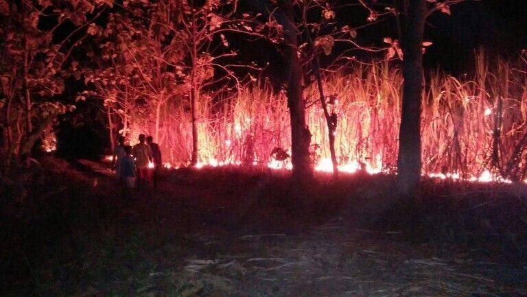 IMG-20180814-WA0022-768x433