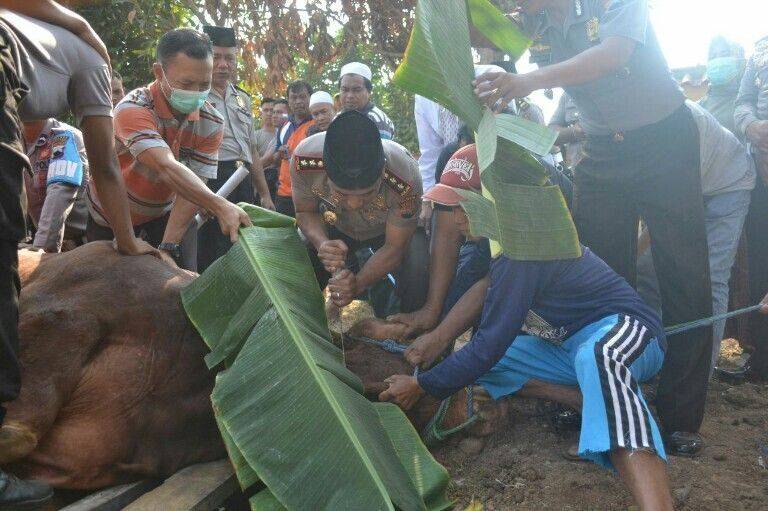 IMG-20180822-WA0026-768x511