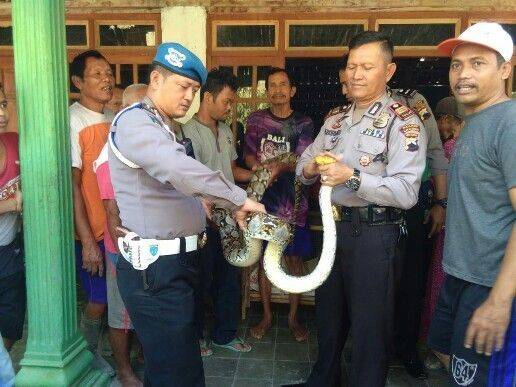 IMG-20180907-WA0018-516x387