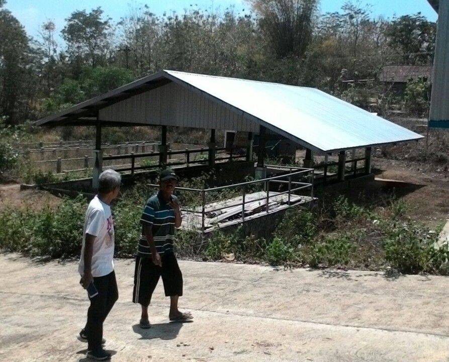 Pasar hewan mangkrak