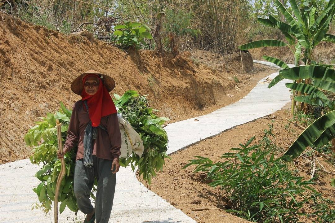 301018tmmd segudang manfaat 1