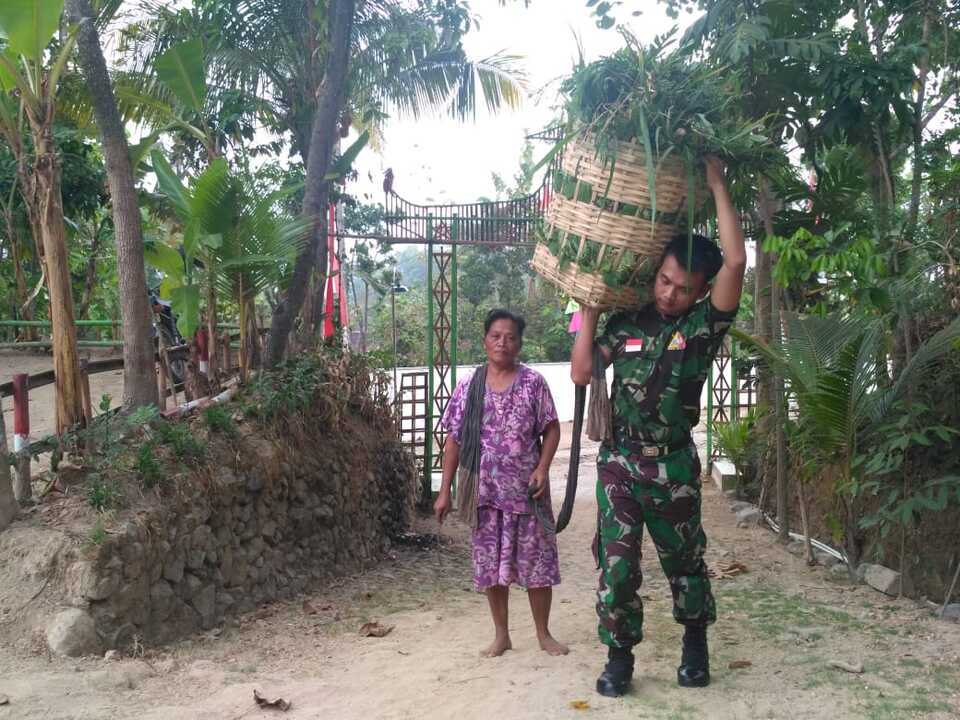 06112018tmmd mengangkat rumput