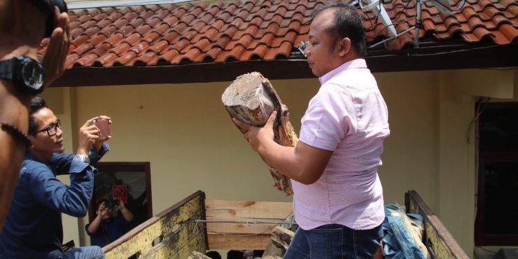 d4196c79-dc92-4231-9544-1d2a00089279-750x375