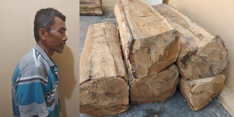 2f1a51dc-7428-4d29-b105-313f869e44b1-2-750x375