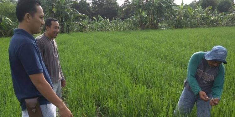 84517074-dce8-49cb-a1ca-7946ac82e5d7-2-750x375