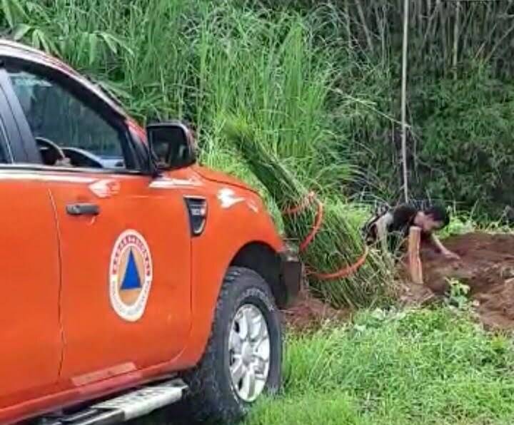 Screenshot_20200208-114927_1