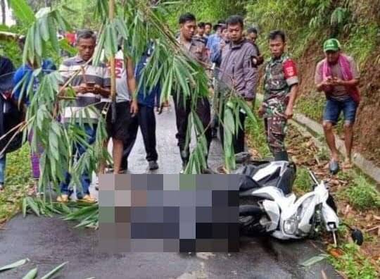 WhatsApp-Image-2020-02-20-at-18.45.16