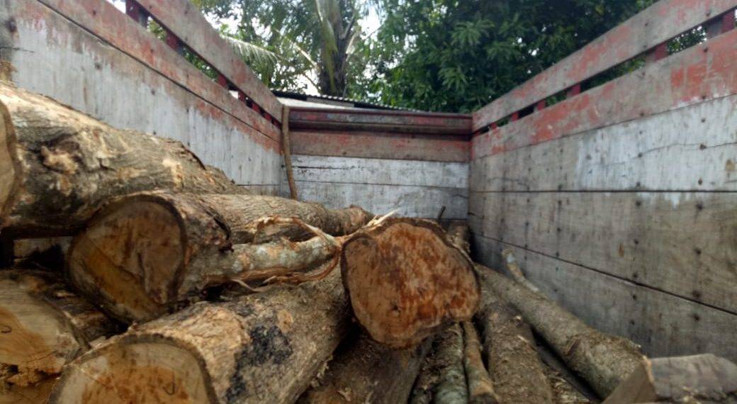 ac73191f-0819-4804-a989-d608038923d8-1040x570