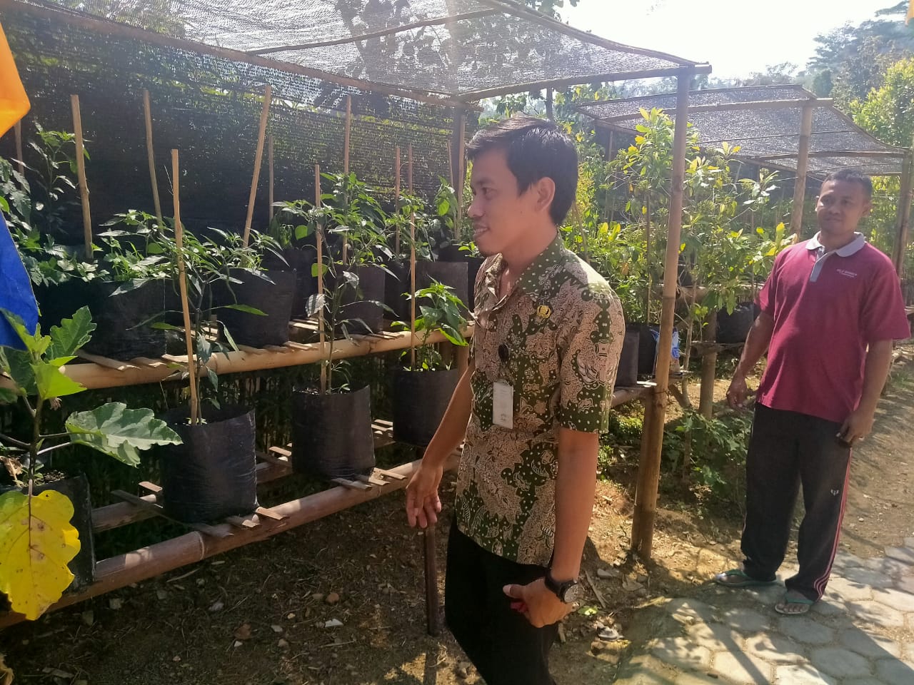 Patut Ditiru Guru SDN 3 Sukoharjo Kecamatan Tirtomoyo 
