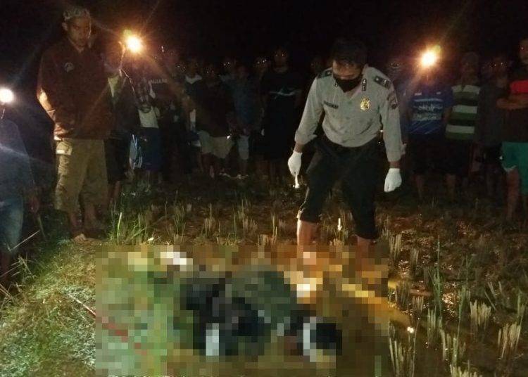 PicsArt_11-22-12.23.12-1-750x536