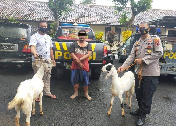 IMG-20201218-WA0051-750x536