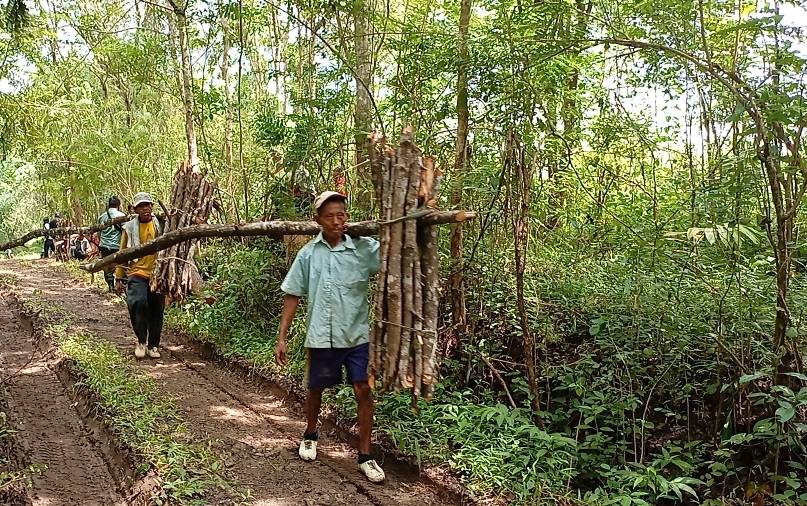 Warga memikul dahan di hutan Perhutani di Kecamatan Pracimantoro Wonogiri. JSnews. Aris Arianto