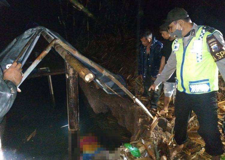 PicsArt_02-17-07.36.00-750x536