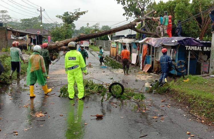 WhatsApp-Image-2021-02-17-at-20.17.26-750x488