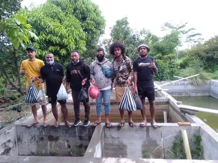 pelatihan ternak lele mahasiswa papua