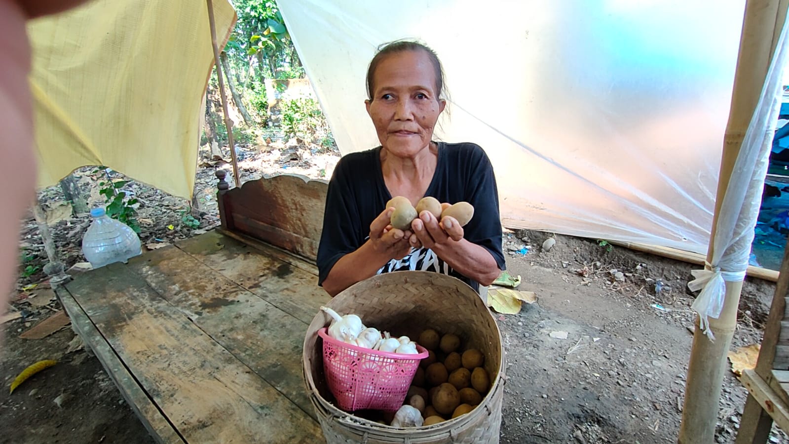 Mbah Karsi, nenek asal Desa Wonotolo Gondang penerima BPNT saat menunjukkan kentang yang diterima dari program BPNT yang ukurannya sangat kecil dan dinilai tidak layak. Foto/Wardoyo