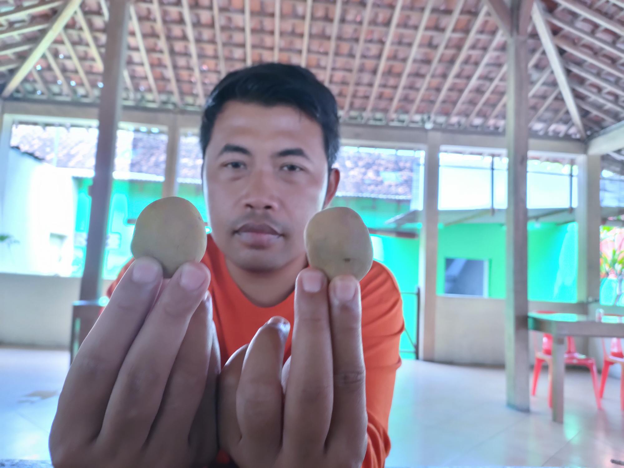 Penampakan sembako kentang yang diterima warga Desa Wonotolo, Gondang, Sragen dari program BPNT yang ukurannya sangat kecil dan dinilai tidak layak. Foto/Wardoyo