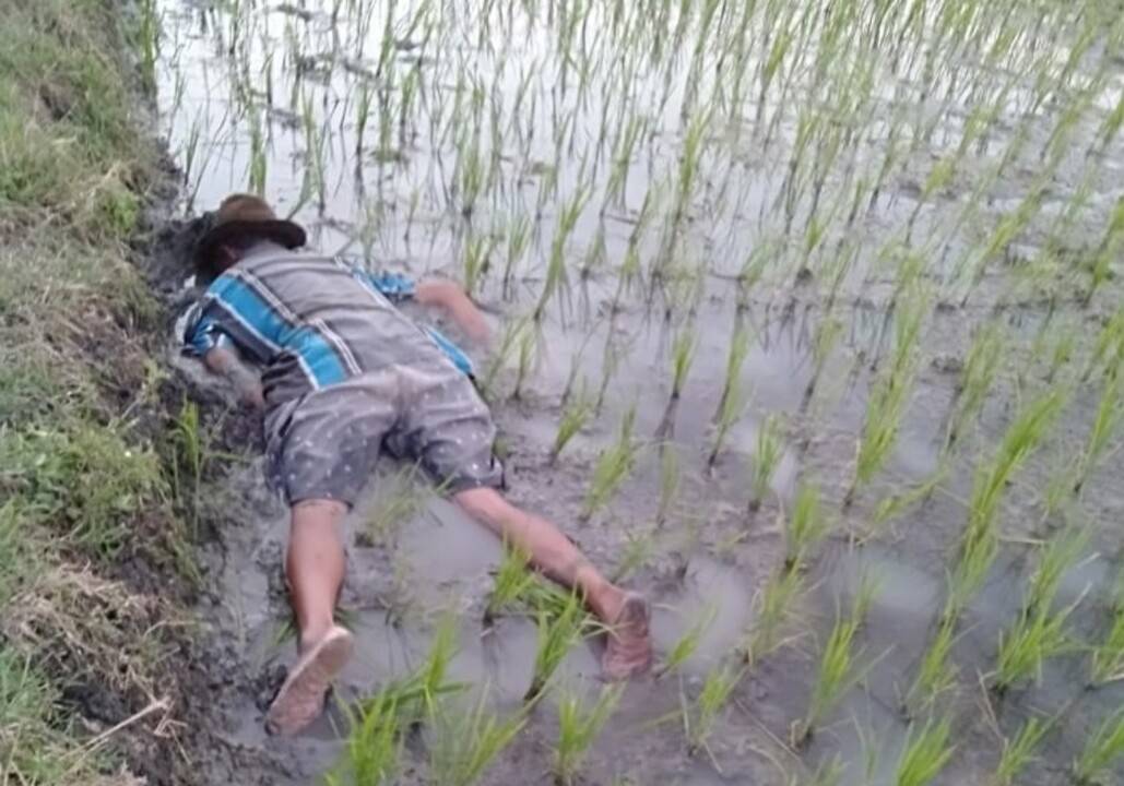 IMG_20210811_215723_copy_1280x896