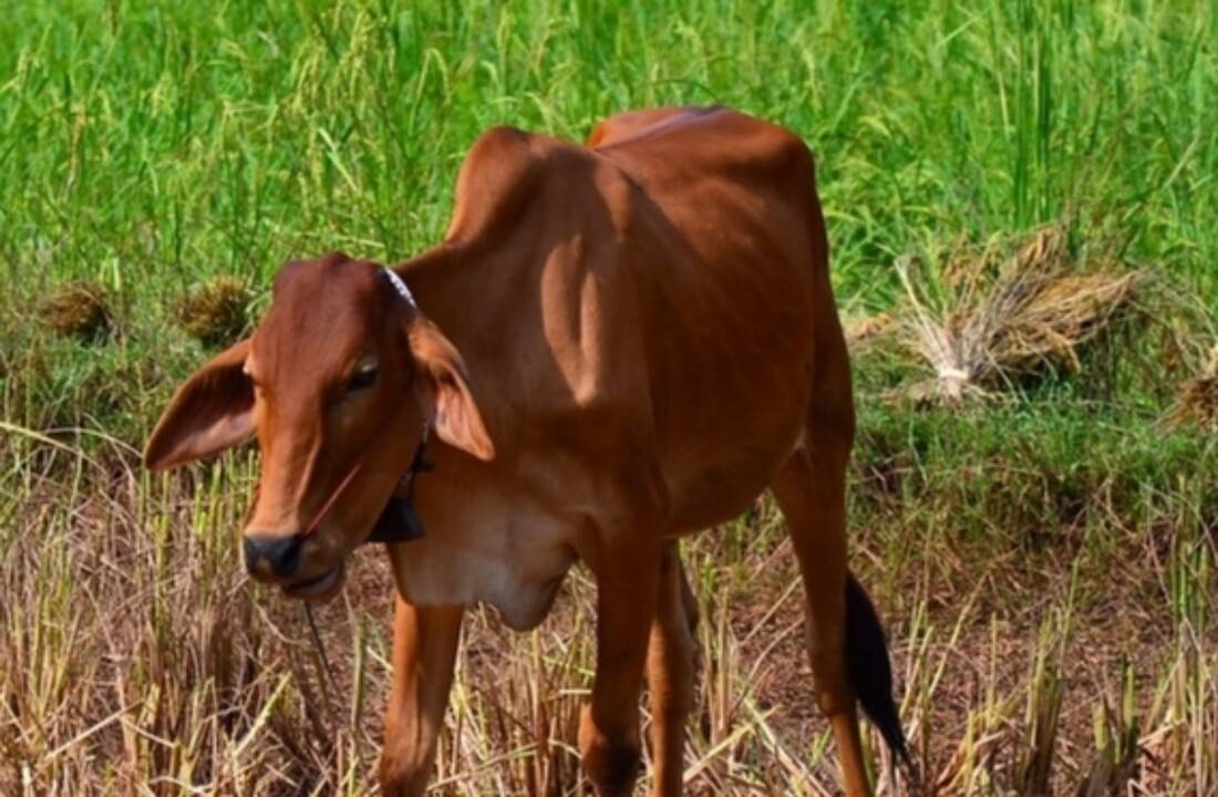 IMG_20211221_001116_copy_1280x838