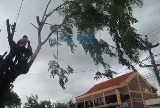 WhatsApp Video 2021-11-27 at 12.52.40