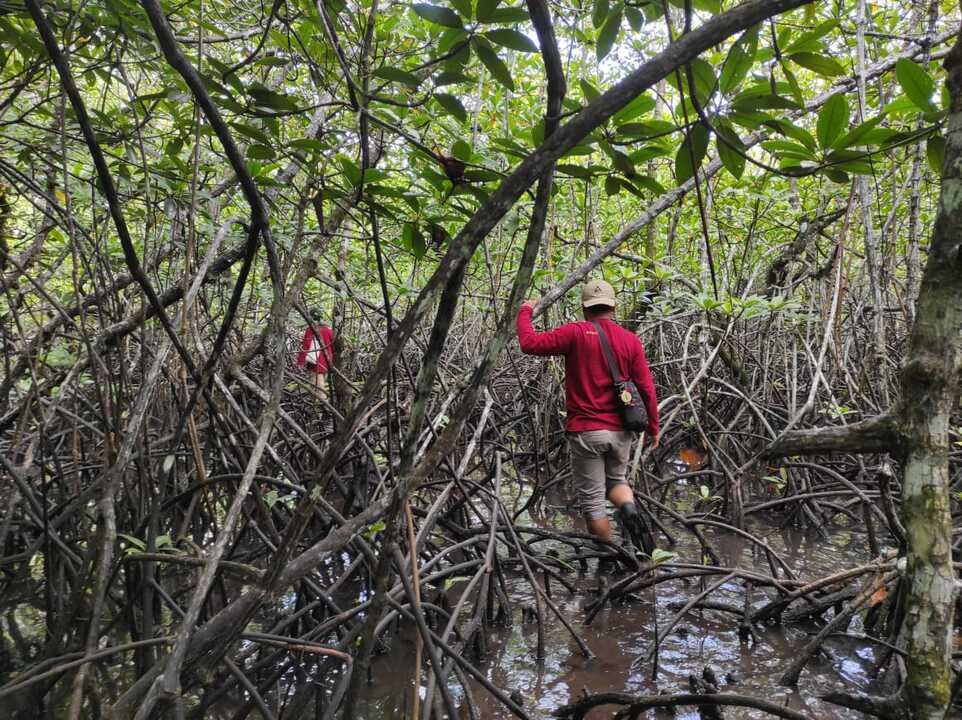 Situs Bongal Situs Bongal