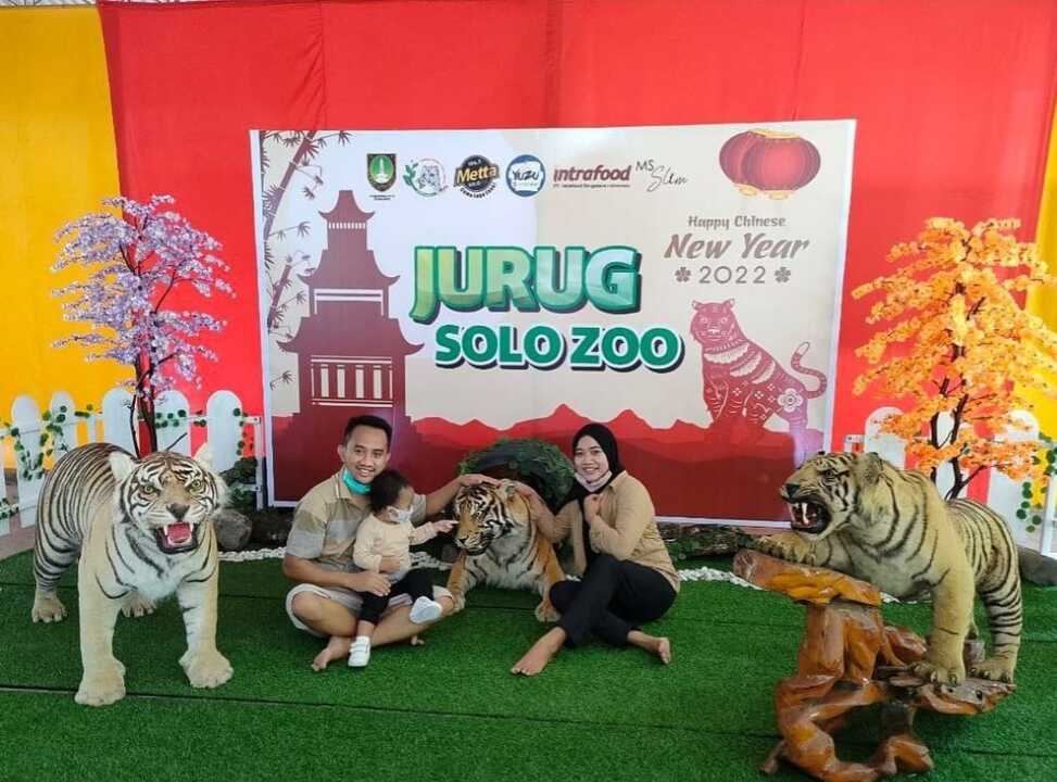 jurug harimau