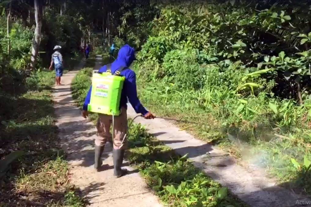 Rumput Liar Rumput Liar