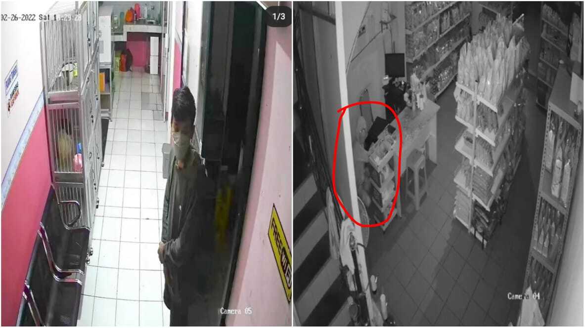 pencurian di petshop sragen Aksi pencurian di YY Petshop & Petcare yang berlokasi di Jl Setiabudi No. 75B Sragen Kulon, Sragen berhasil terekam CCTV pada hari Sabtu (26/2/2022) pada pukul 18.30 setelah toko tutup | Foto : Sosmed Sragenkita