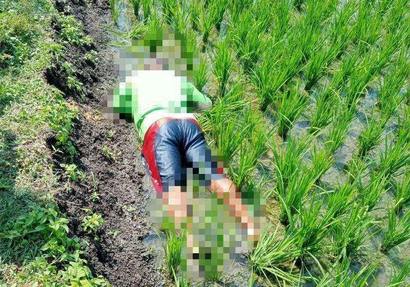 IMG_20220413_143409_copy_800x561