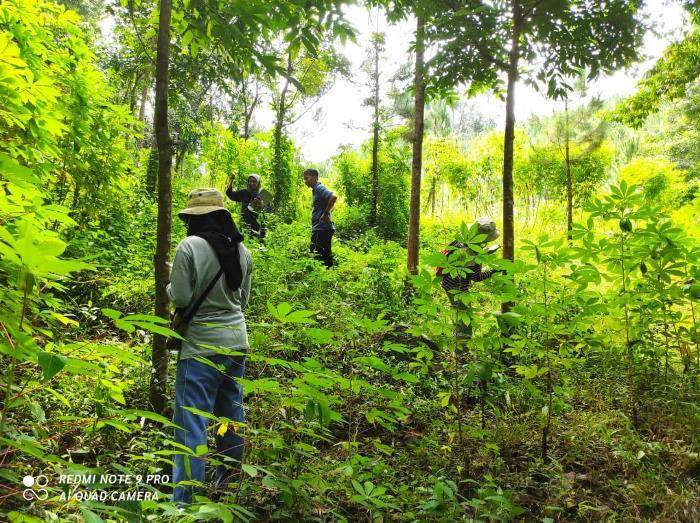 2405 - mahasiswa S2 UNS