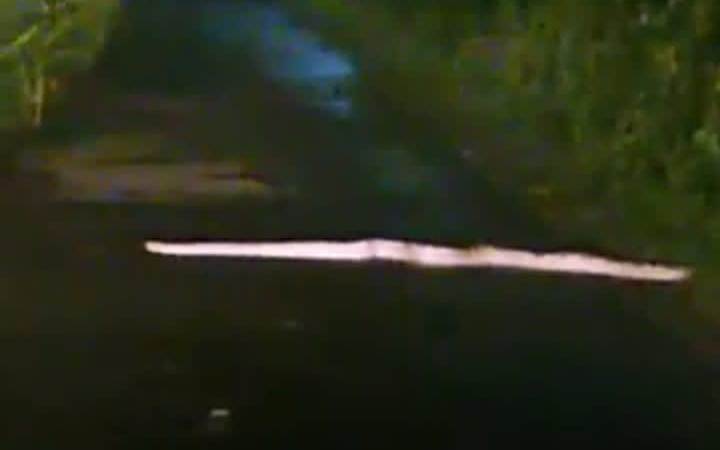 Penampakan ular melintas di jalan yang berhasil dipotret warga dan menjadi heboh / Foto: Waskita