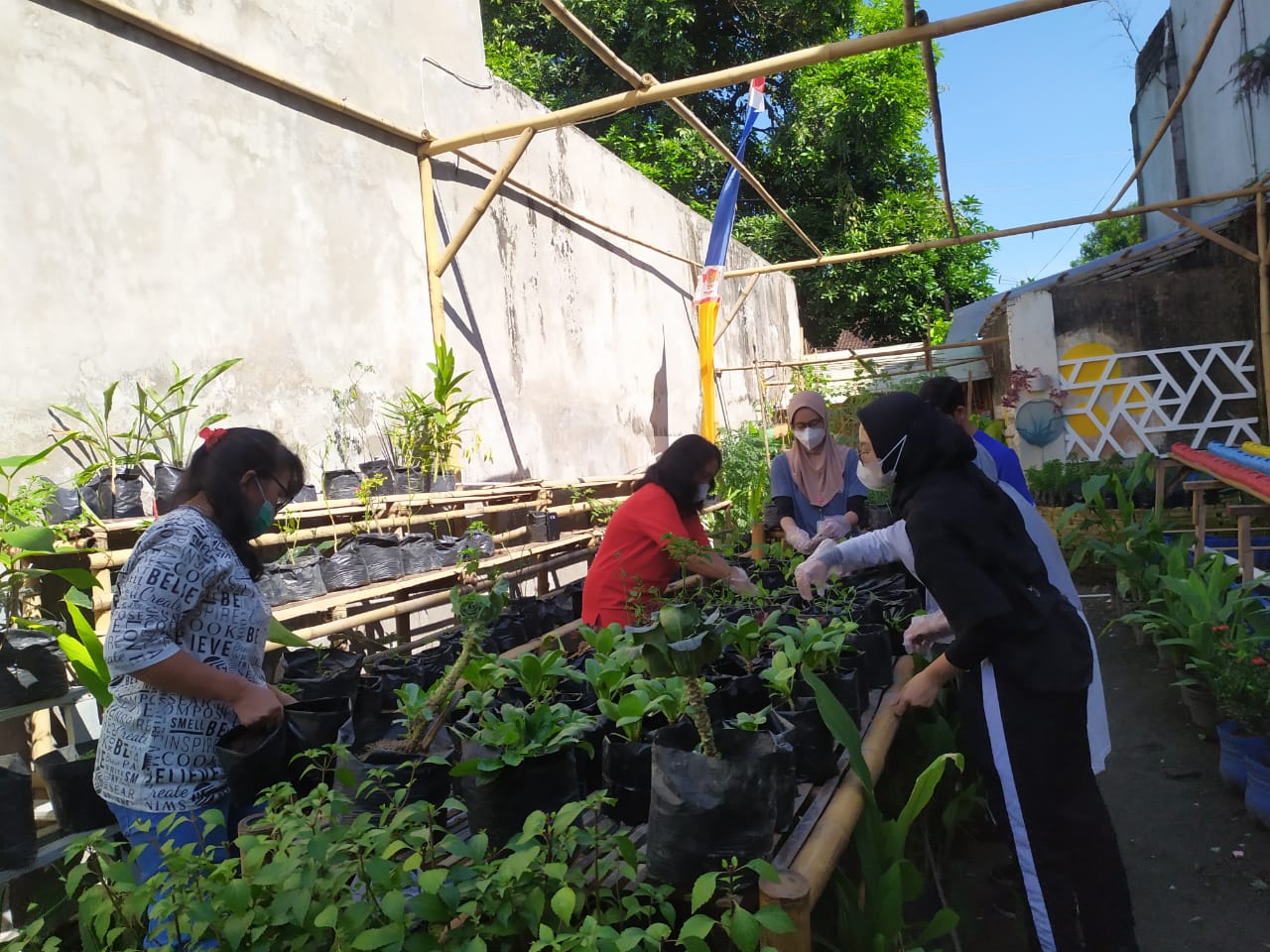 Limbah Kulit Bawang Merah Tak Perlu Bikin Resah, Ini Tips Dari ...