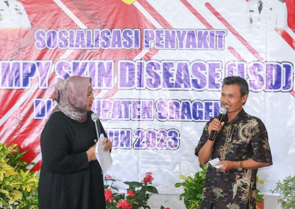 IMG_20230205_190621_copy_1024x726