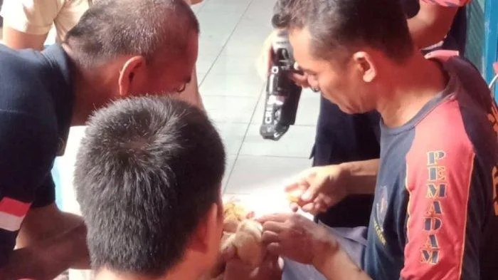 0503 - penyelamatan ayam