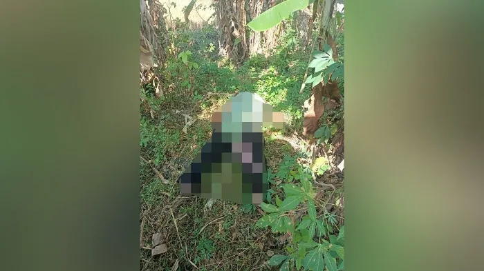 Terungkap Ini Dia Identitas Mayat Perempuan Di Kebun Pisang Desa Jetiskarangpung Kalijambe