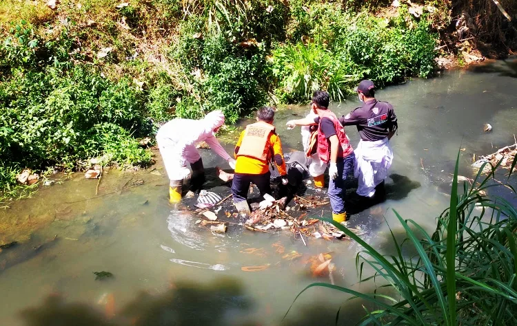 IMG-20230727-WA0019_1