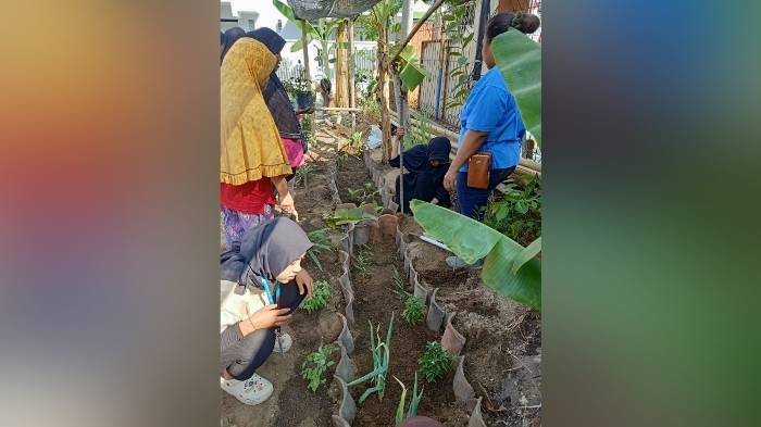 3108 - Hamida - KKN UNS - toga 1 vertikal