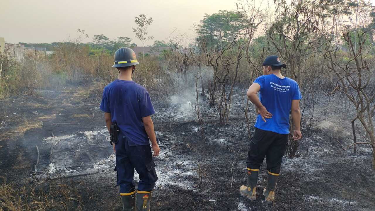 kebakaran lahan pinggir jalan
