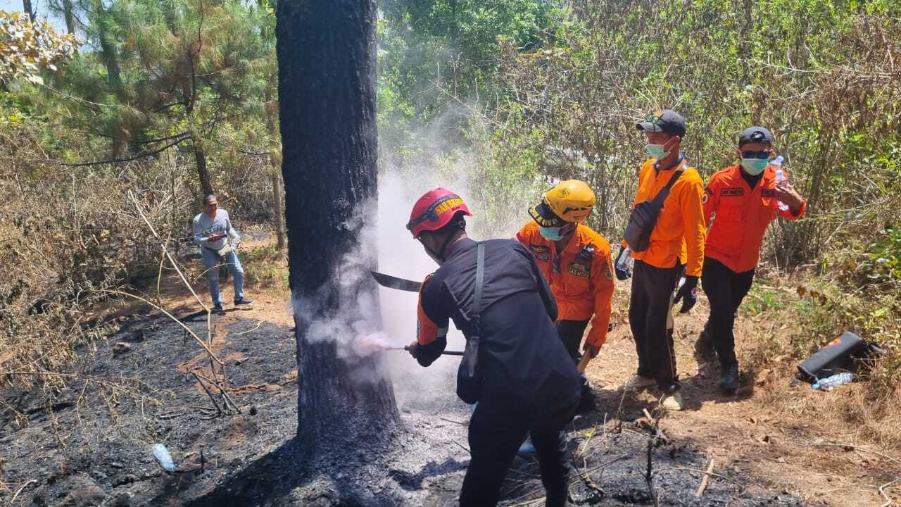 pemadaman kebakaran hutan merbabu