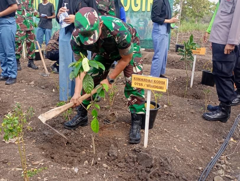 Penanaman bibit pohon Penanaman bibit pohon