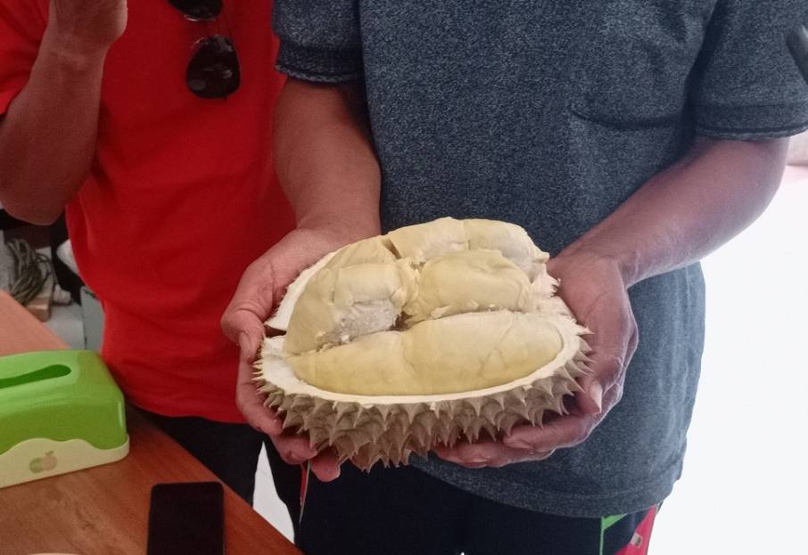 Durian