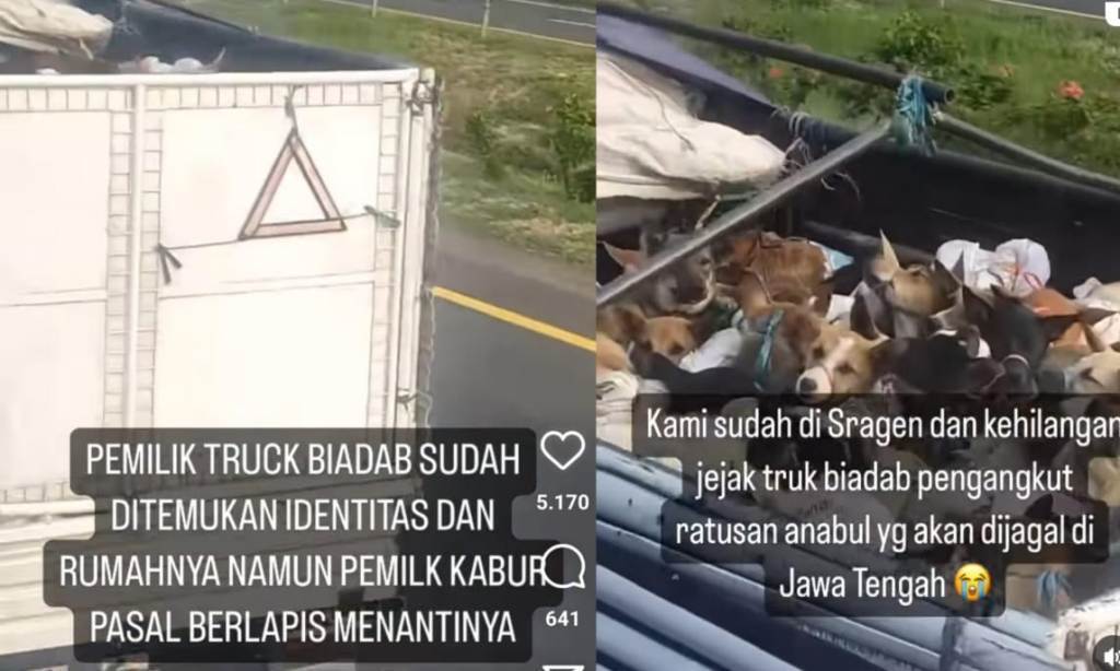 WhatsApp Image 2023-12-26 at 21.45.36