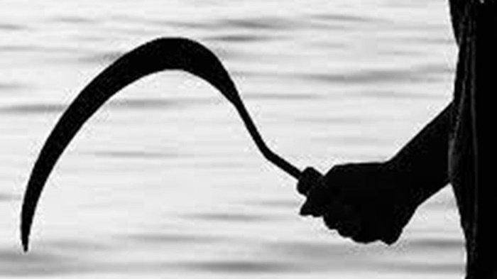 0902 - celurit ilustrasi celurit