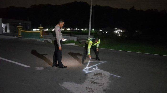 2202 - kecelakaan adu banteng