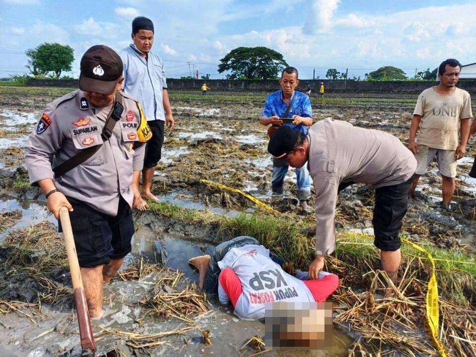 Kakek di Sambungmacan, Sragen Ditemukan Meninggal Keadaan Sujud Disawah