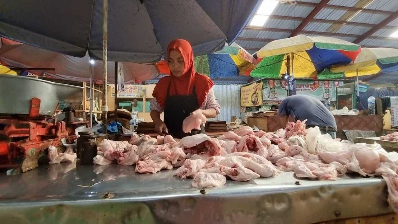 daging ayam